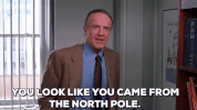 Will Ferrell Elf GIF by filmeditor