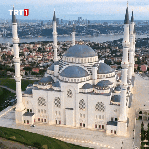 Night Drone GIF by TRT