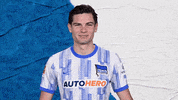 Jurgen Ekkelenkamp Football GIF by Hertha BSC