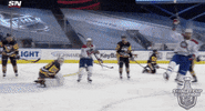 Celebrate Ice Hockey GIF by NHL