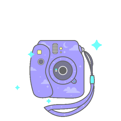 sheilawong giphyupload new post camera polaroid Sticker