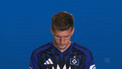 Look Up Hamburger Sv GIF by Bundesliga
