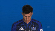 Look Up Hamburger Sv GIF by Bundesliga