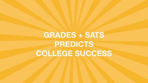 High School Politics GIF by PBS Digital Studios