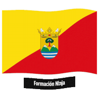 Flag Spain Sticker by Formación Ninja