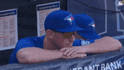 Blue Jays Baseball GIF by Toronto Blue Jays