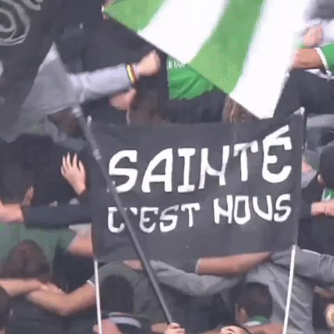 fans ultra GIF by AS Saint-Etienne