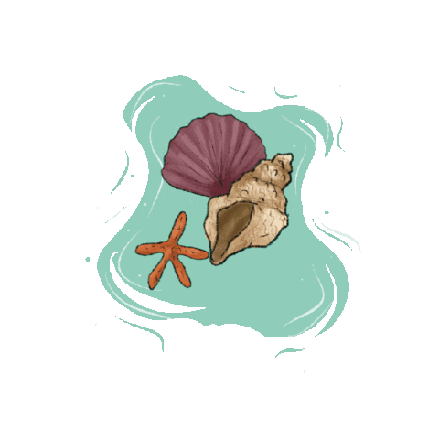 Summer Beach Sticker