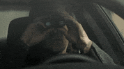 Staring Season 2 GIF