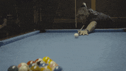 GIF by Sporza