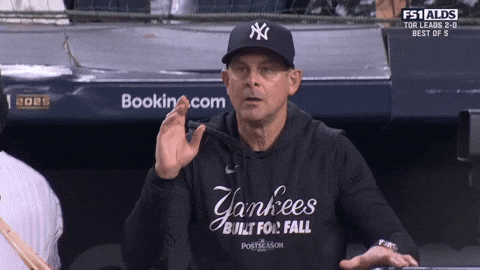 New York Yankees Sport GIF by MLB