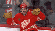 Happy Red Wings GIF by NHL