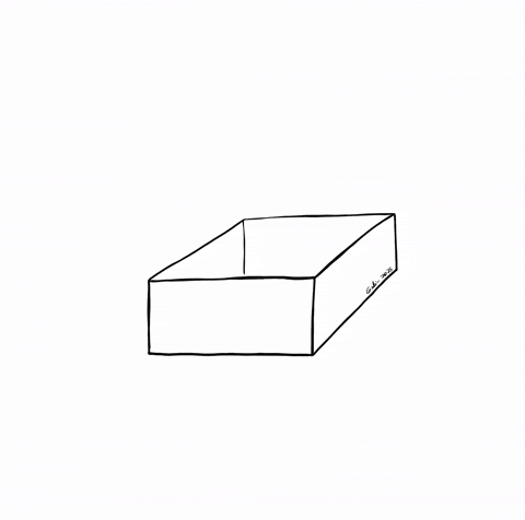 sutakludik cats catsinboxes GIF
