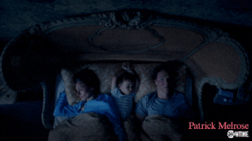 episode 4 patrick melrose GIF by Showtime