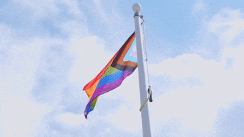 Pride Flag GIF by Storyful