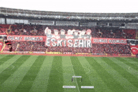 eskisehirspor fun sticker stickers emotional GIF