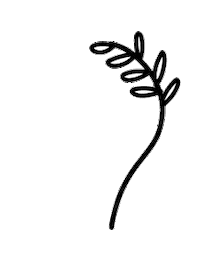 Illustration Squirrel Sticker by Brooksrunning