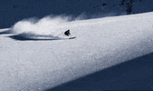 Soulride snow winter positive trees GIF