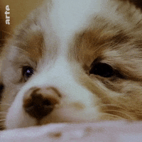 blink ok GIF by ARTE