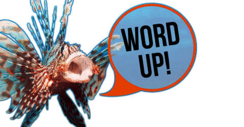 OCEANREEF giphyupload Sticker