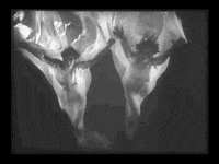 charlespieper film black and white ghost cinema GIF
