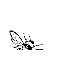 Bee Flying Sticker by Desnuda Tequila