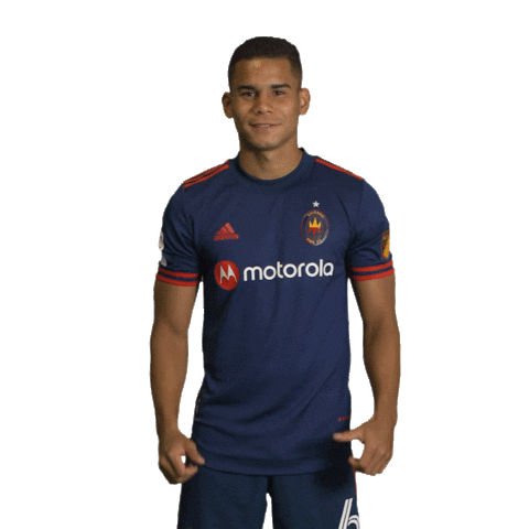 Sport Mls Sticker by Chicago Fire Football Club