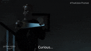 Episode 5 Cats GIF by Prime Video Canada