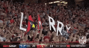 Arizona Cardinals Football GIF by NFL
