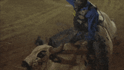 vomit microwave GIF by SideOneDummy Records