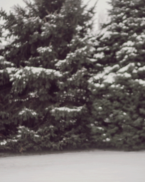 TGBrews beer can craft beer sour GIF