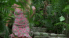 Season 6 GIF by Bachelor in Paradise