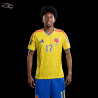 Fifa World Cup Colombia GIF by Respective