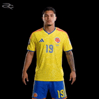 Fifa World Cup Colombia GIF by Respective