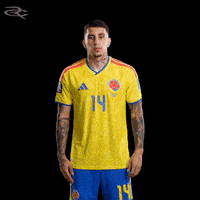Fifa World Cup Colombia GIF by Respective