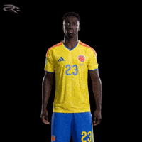 Fifa World Cup Colombia GIF by Respective