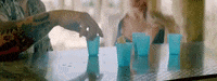 Tequila Drinking GIF by Kameron Marlowe