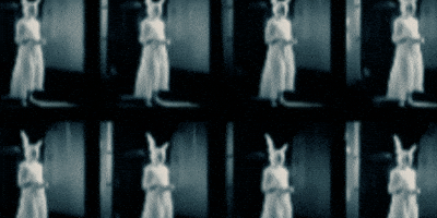 Bunny Ghosts GIF by erica shires