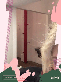 GIF by betaworks Studios