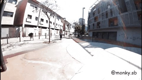 monkysb giphygifmaker skate barcelona skateboard GIF
