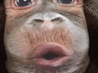camera blows GIF