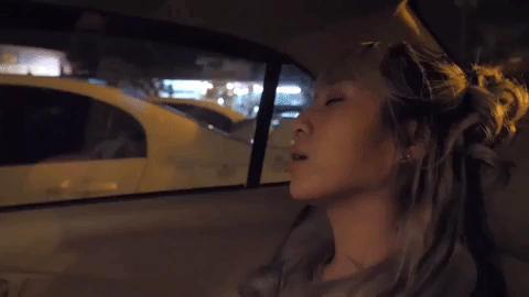 sunbeary GIF