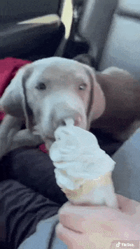 TikTokBarbie love ice cream barbie lab GIF