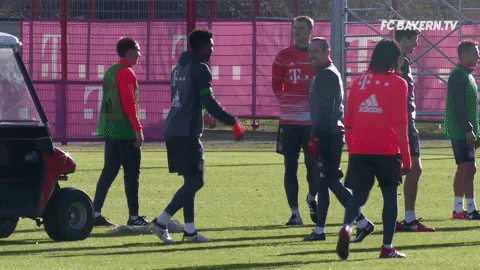 david alaba dance GIF by FC Bayern Munich