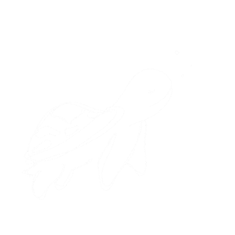 Turtle Zoo Sticker