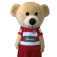 Kids Club Bar Sticker by 1. FC Heidenheim 1846