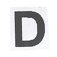 Typography D Sticker