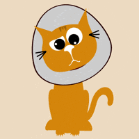 Blinking Big Eyes GIF