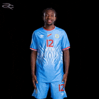 Fifa World Cup Leopards GIF by Respective