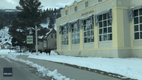 No Time for Caution: Bison Tears Down Safety Tape Outside Yellowstone Hotel
